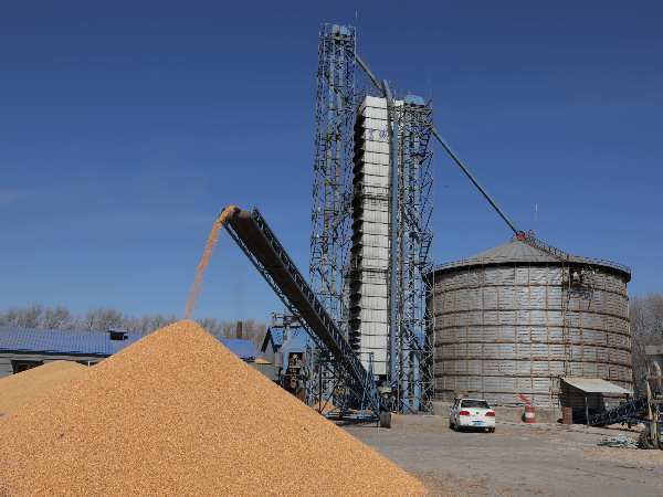 燒煤改燒秸稈大包直燃熱風(fēng)爐，烘干成本省一半