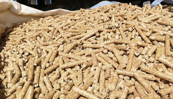 生態(tài)環(huán)境部回應(yīng)！生物質(zhì)成型燃料不是高污染燃料