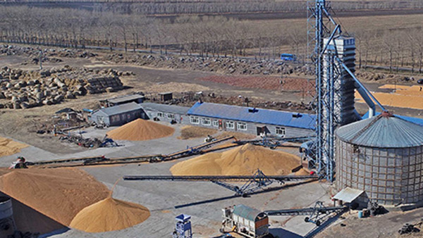 糧食烘干合作社如何做到年節(jié)省90萬元？利民萬佳鍋爐為您解析